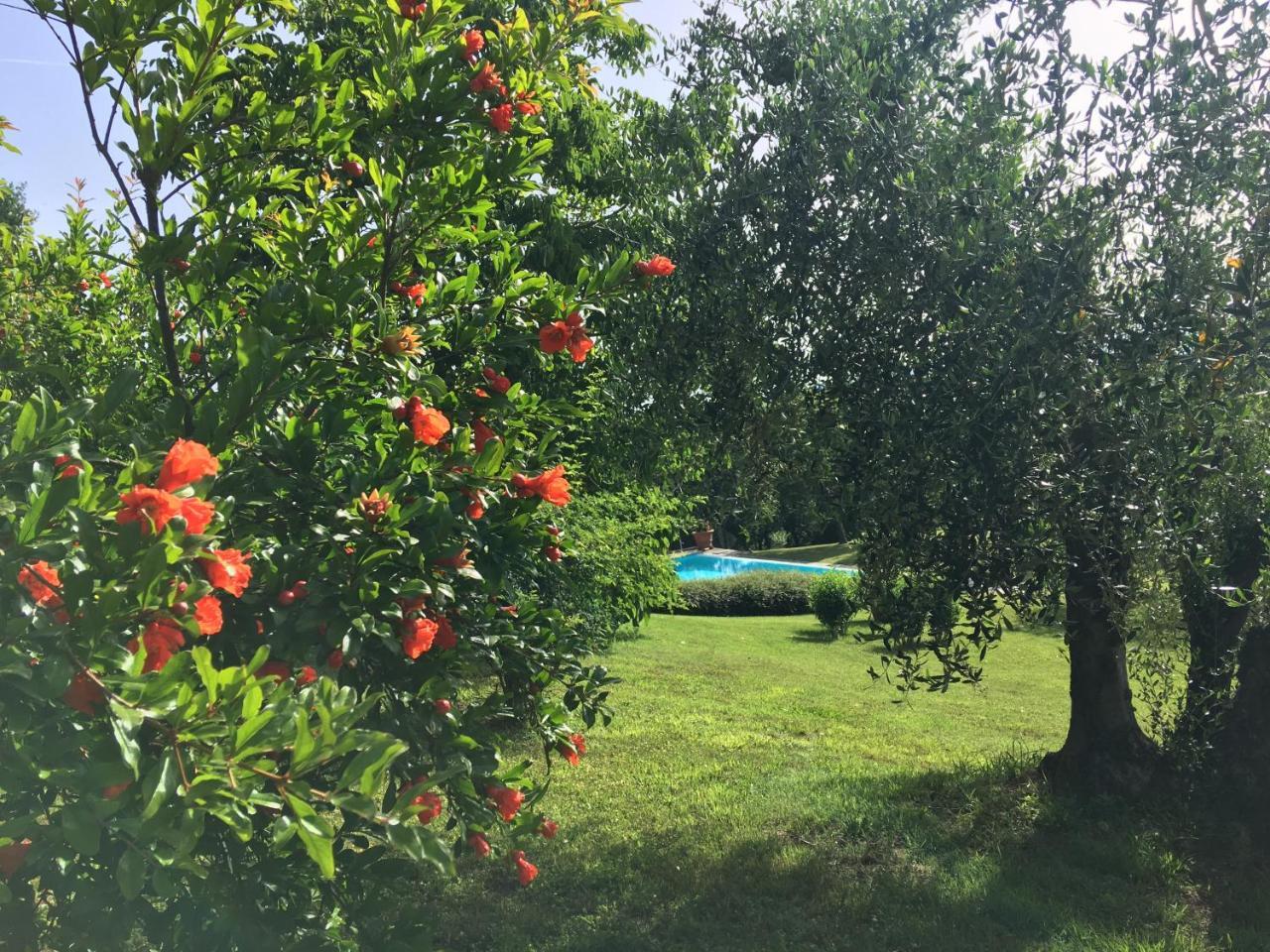 Podere Casanova Montespertoli Exterior foto